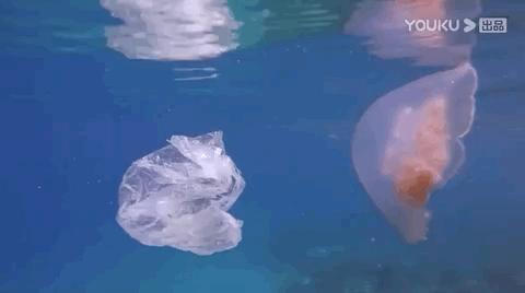 彭于晏我最需要的时候你在哪里,彭于晏我最需要他的时候他在哪里