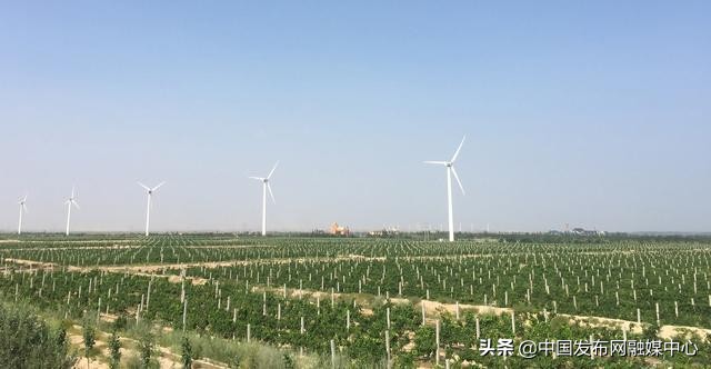 怡园酒庄葡萄酒旗舰店,怡园酒庄红酒排名