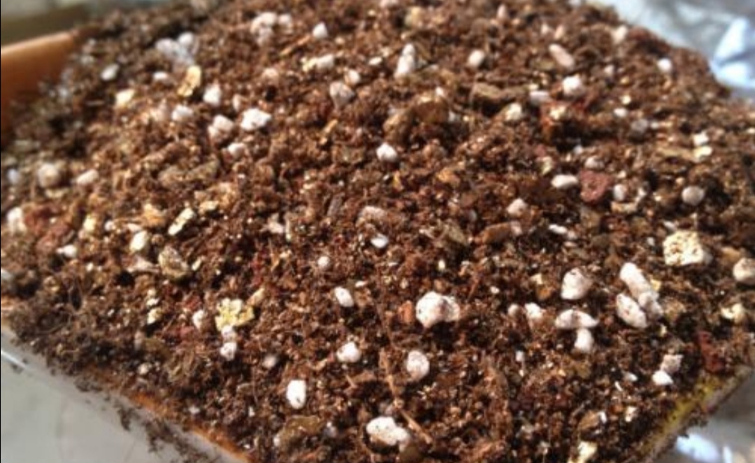 如何处理用过的花土呢,花土怎么样才能重复利用还肥沃