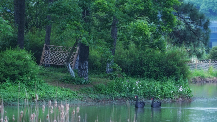 茅山宝盛园周边游玩,茅山宝盛园所有游乐设施