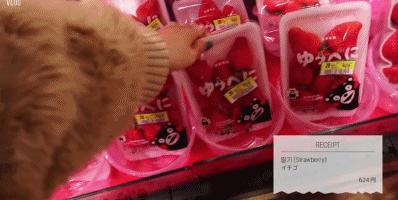 38岁独居全职博主,韩国独居博主