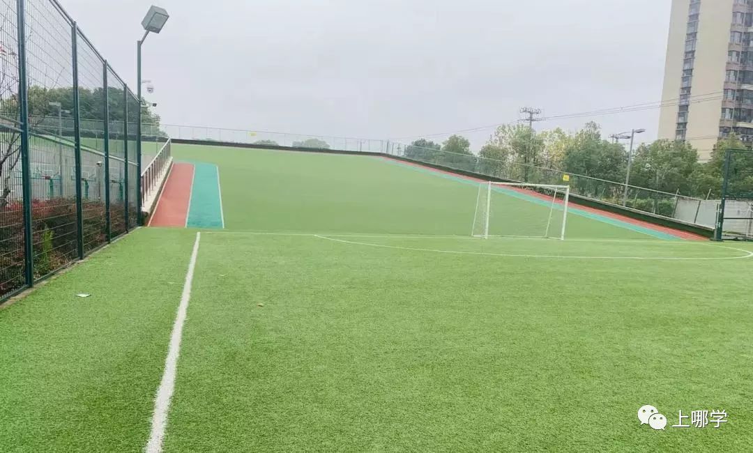 上海最好的十大民办初中,上海各区的顶级初中和一流初中