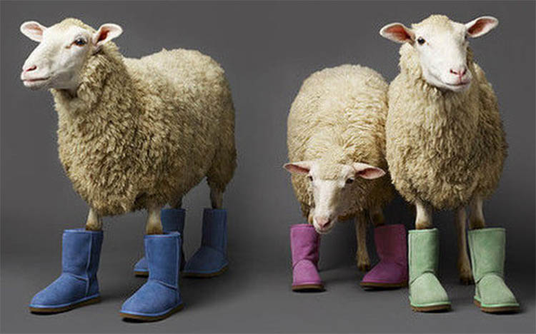 澳大利亚ugg和ugg区别,ugg是澳洲还是美国的