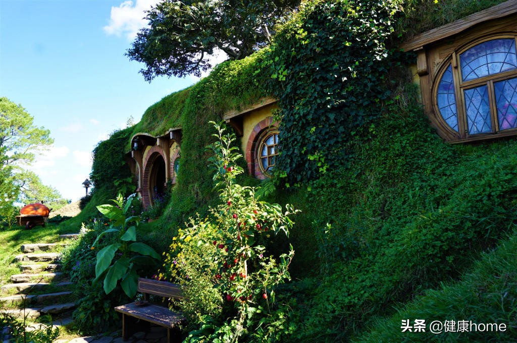 新西兰霍比特人村攻略,新西兰霍比特蓝泉一日游