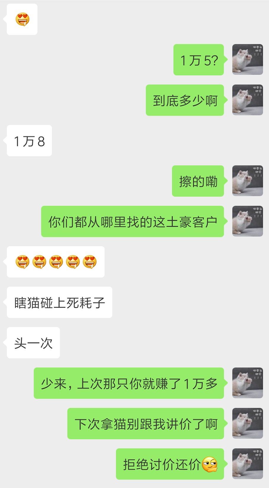 宠物猫行业前景如何,为什么宠物行业利润大
