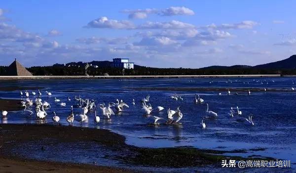 山东五一旅游攻略3天自由行,五一山东旅游攻略大全