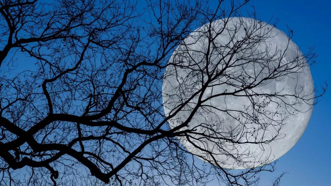 有人说七情六欲最好听怎么回答,七情六欲可以用哪两个字表达