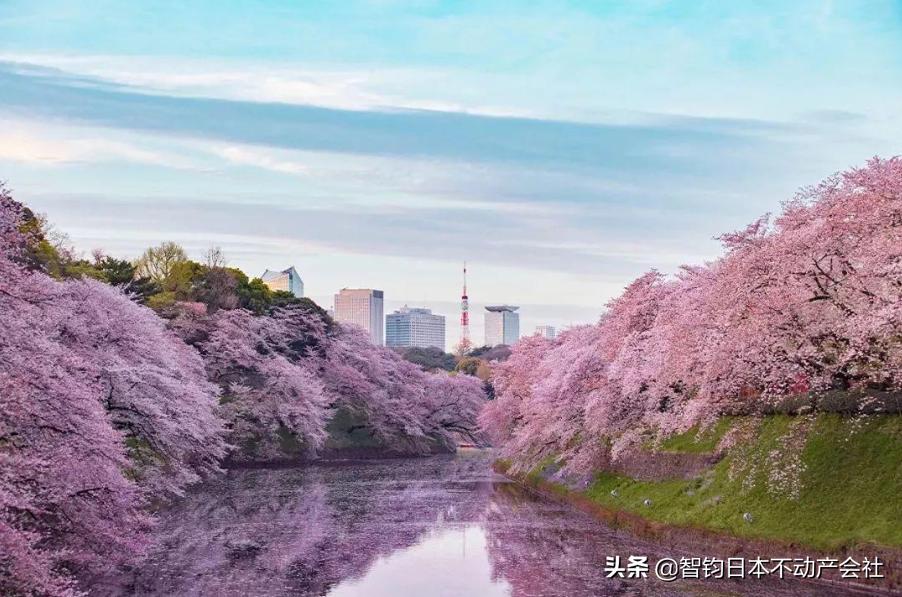 日本留学生转就职签证流程,日本留学转经营管理签证