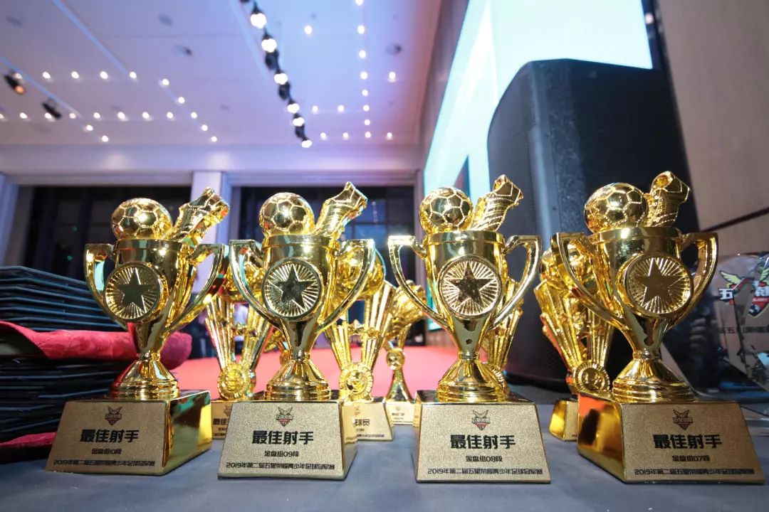 第二届王者荣耀全国大赛完整,第二届王者荣耀全国赛