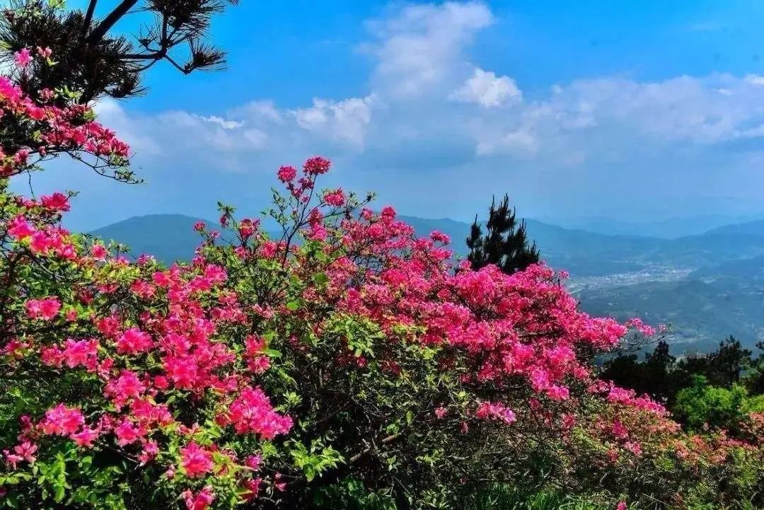 四川普贤菩萨攻略,四川峨眉山普贤菩萨最灵的寺庙