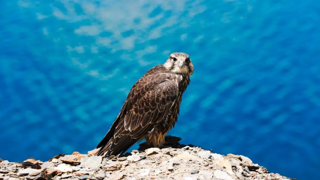 趁放假来一次有意义的旅行,比达瓦更扎更漂亮,关键是免费