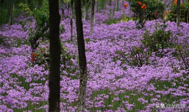 渔浦寒泉生态湿地公园在昆明哪里,昆明渔浦寒泉公园开放了吗