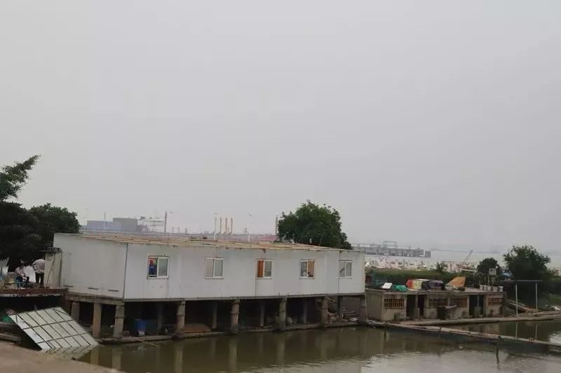 江阴长江之星农业湿地生态园,江阴利港黄丹村湿地保护区