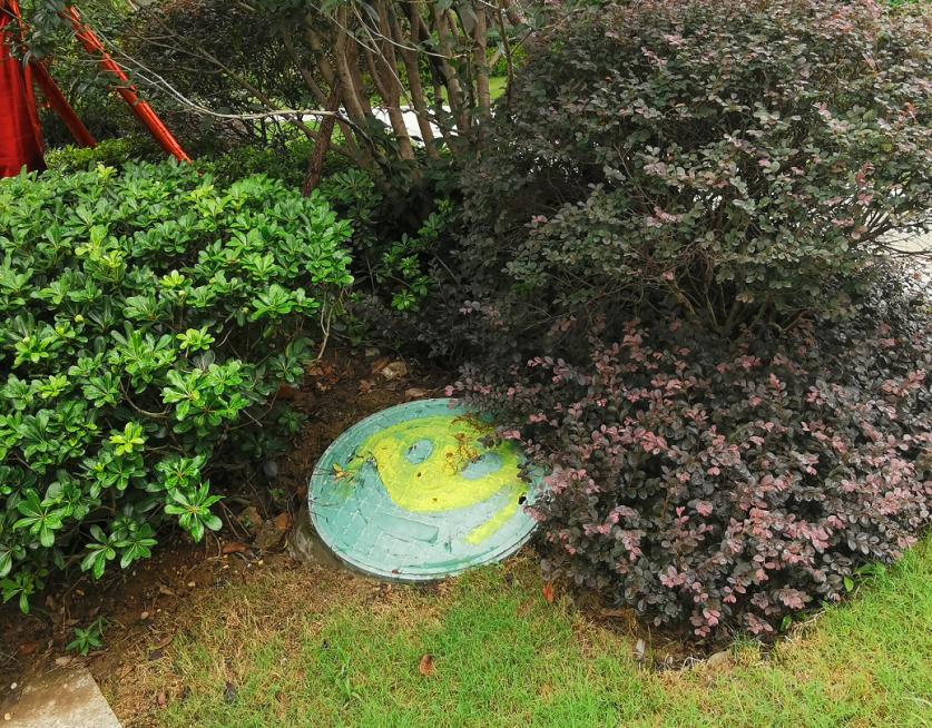 中国十大物业品牌排名,十大最强物业排名