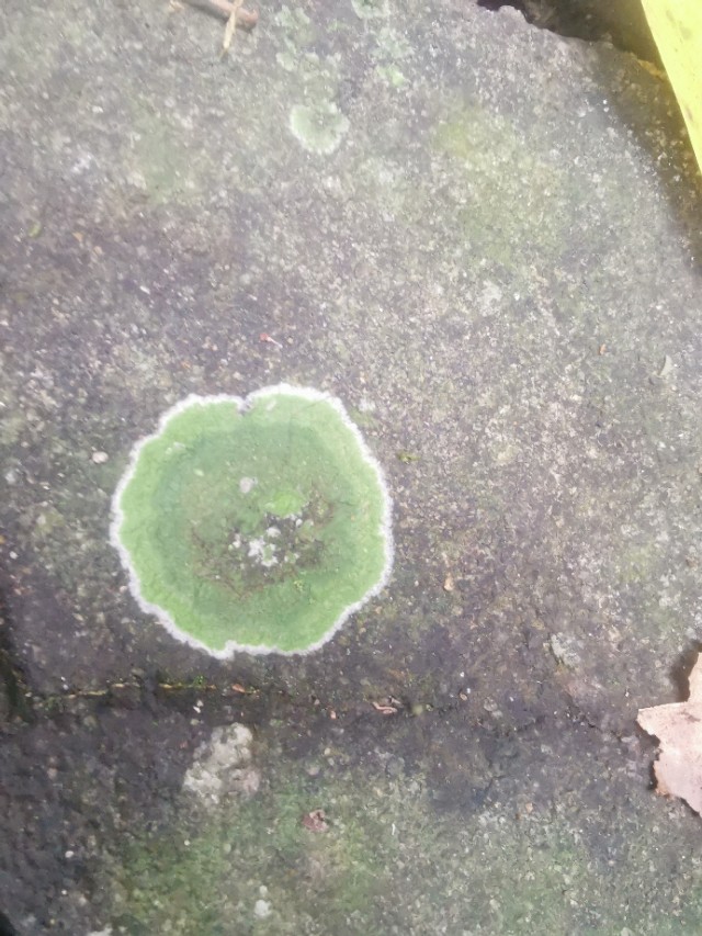 龙岩永福古溪村,福建省永福镇古溪村