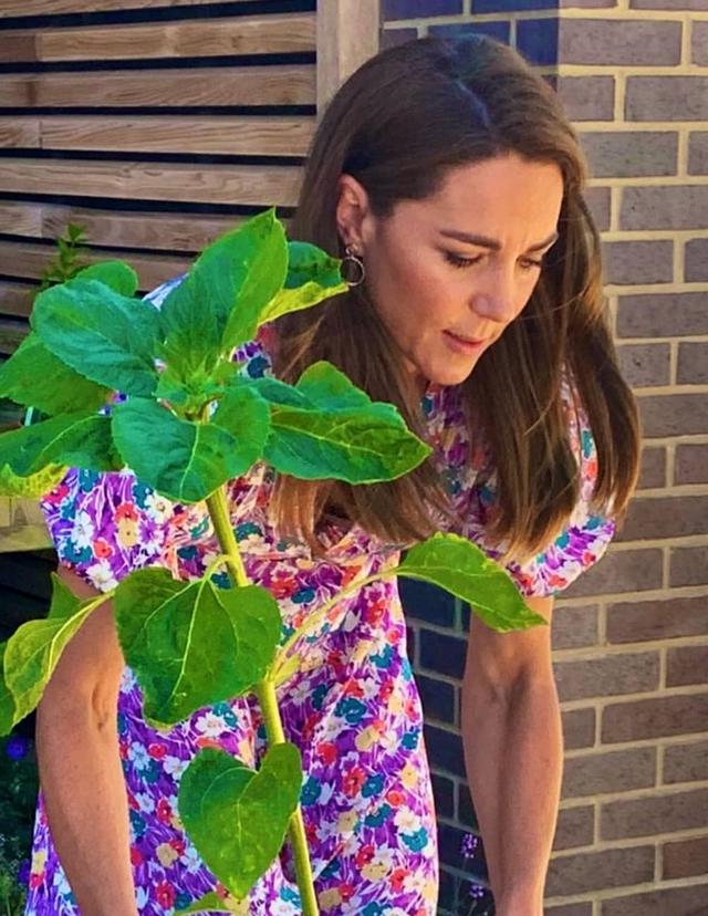 西班牙王后穿搭近照,西班牙王后凯特王妃同款连衣裙