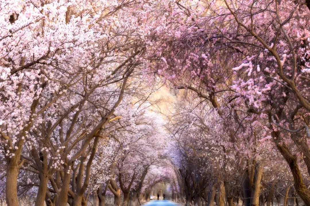 适合住三五天的旅游小镇,国内适合住3-5天的小镇