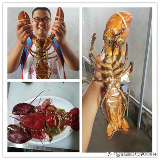 日照吴家台值得推荐的渔家乐,换一个角度感受生活中别样的美