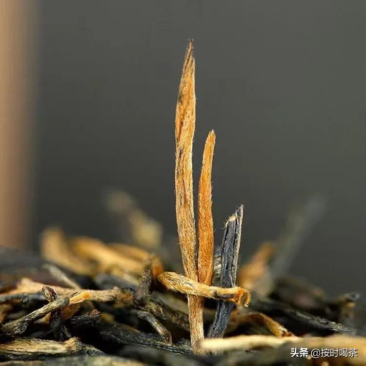 秋天喝什么茶最好滋润肺去火,春天夏天秋天冬天多喝什么茶