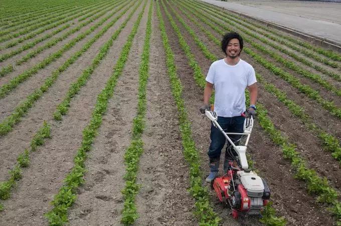 匡威1970s配色最好看的,什么颜色的匡威1970s好看