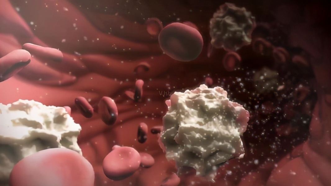 埃博拉病毒bbc纪录片,埃博拉真实纪录片有哪些