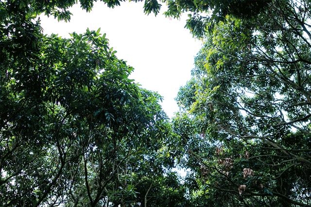 深圳游玩最佳地点排行榜前十名,深圳适合小孩游玩最佳地方推荐