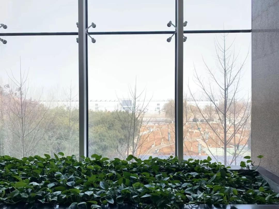 西京学院的真实感受,逛了一圈大学校园