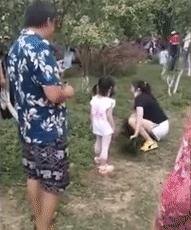 别人说我癞蛤蟆想吃天鹅肉,癞蛤蟆想吃天鹅肉你同意吗