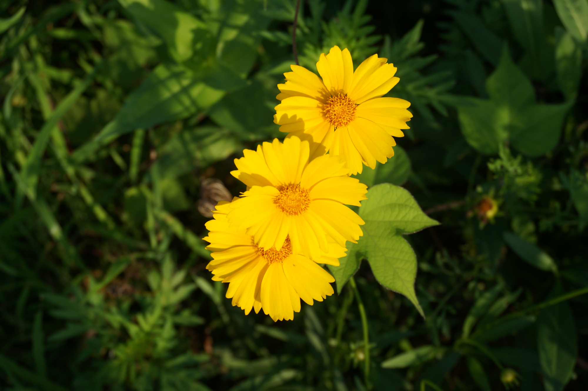 丹江口小众景点,丹江口好玩吗值得去吗