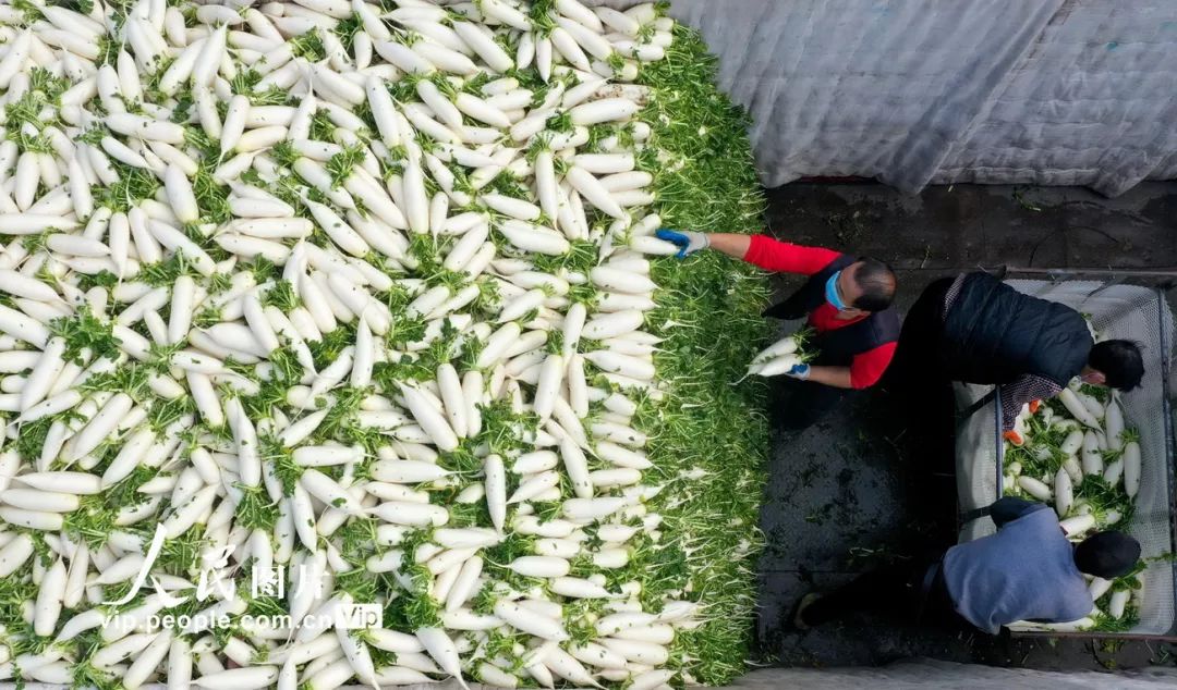 战疫中的40个瞬间,战疫二十四小时纪录片感悟