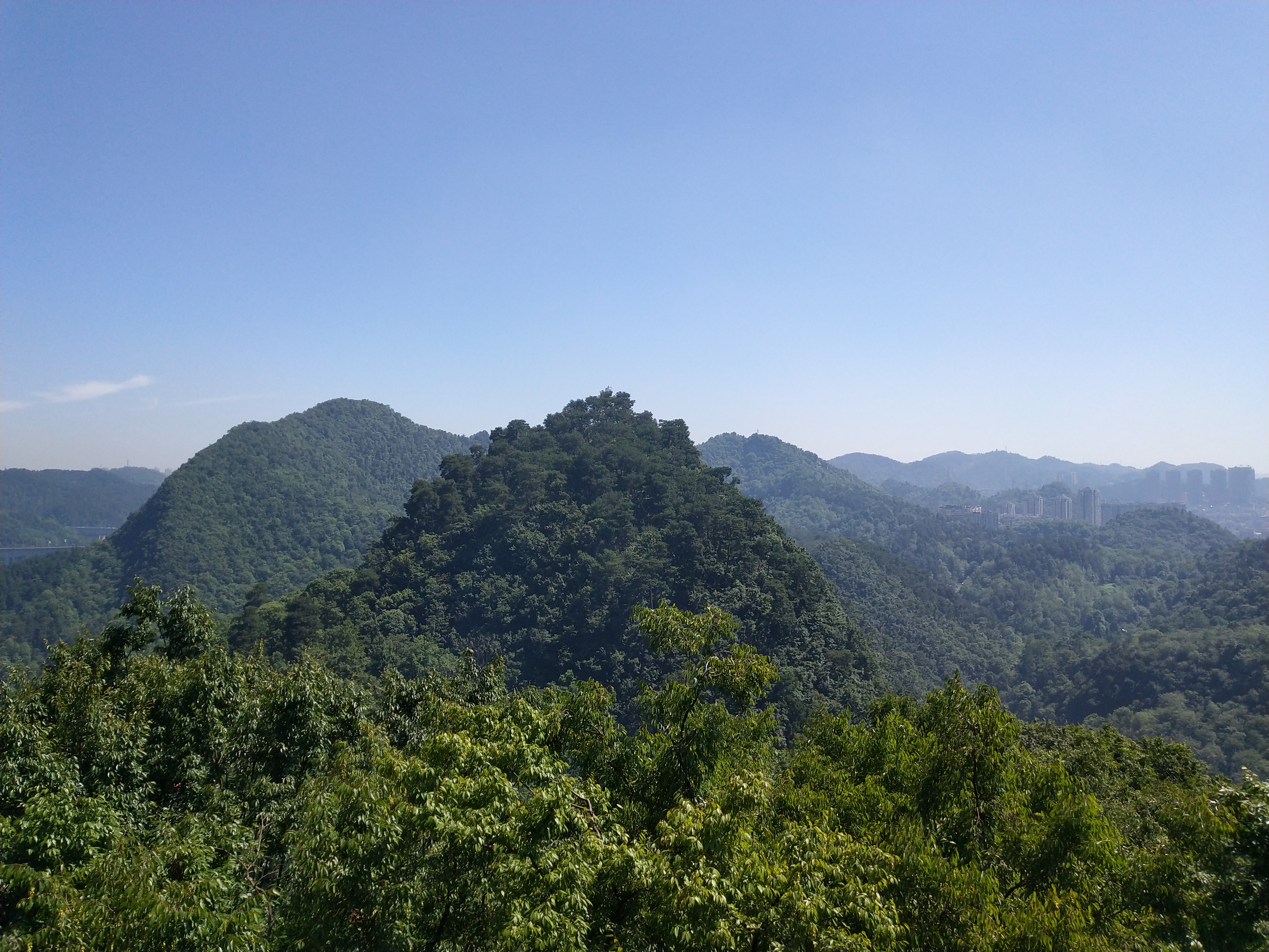 微游贵阳:深度玩透黔灵公园之自然风景