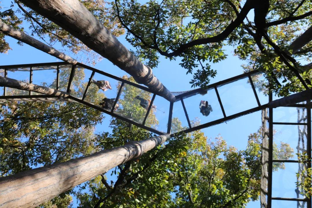 青少年暑期军事夏令营营地,五天四夜军事夏令营你准备好了吗