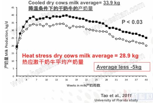 以色列实战经验：热应激管理4大关键点夏季疾病防控