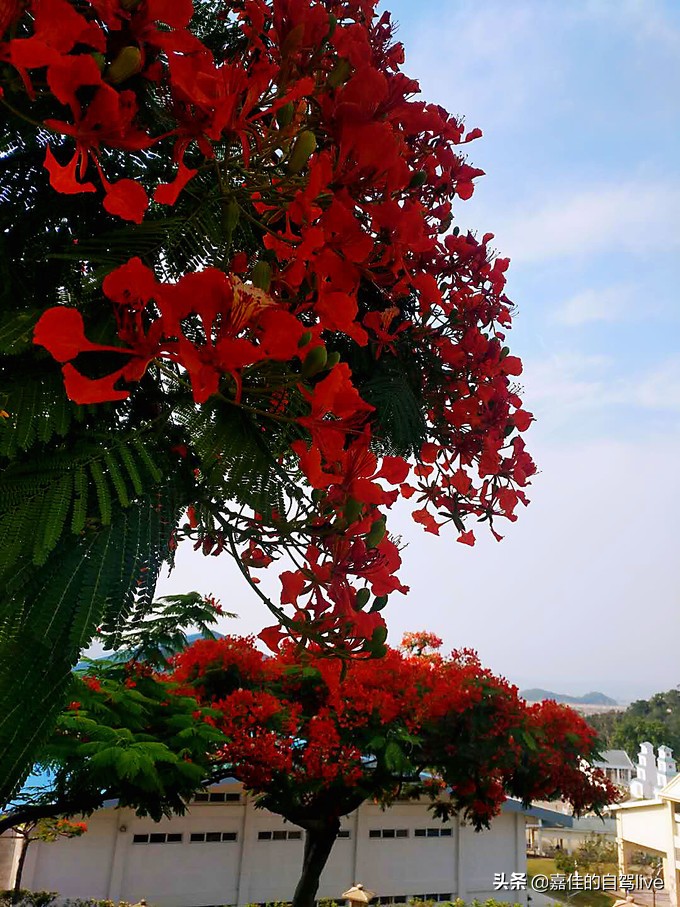 漳州两日一夜自驾游攻略,漳州自驾游两日游攻略
