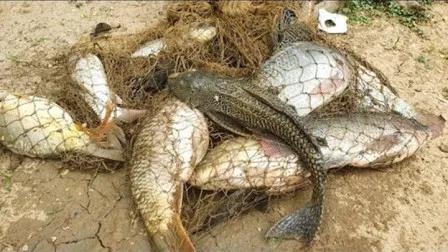 陕西大姐蛋糕店用“借网捕鱼”，一月赚22万，这个点子你也可以