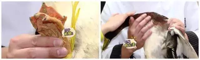 炖老鸭汤加一物清爽不腻又滋补,老鸭汤夏天炖什么最好吃