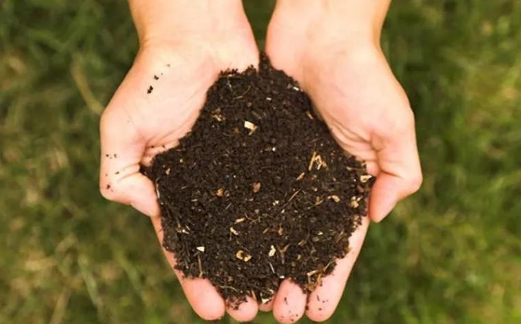 有机蔬菜是不是智商税,为什么说有机蔬菜是交智商税