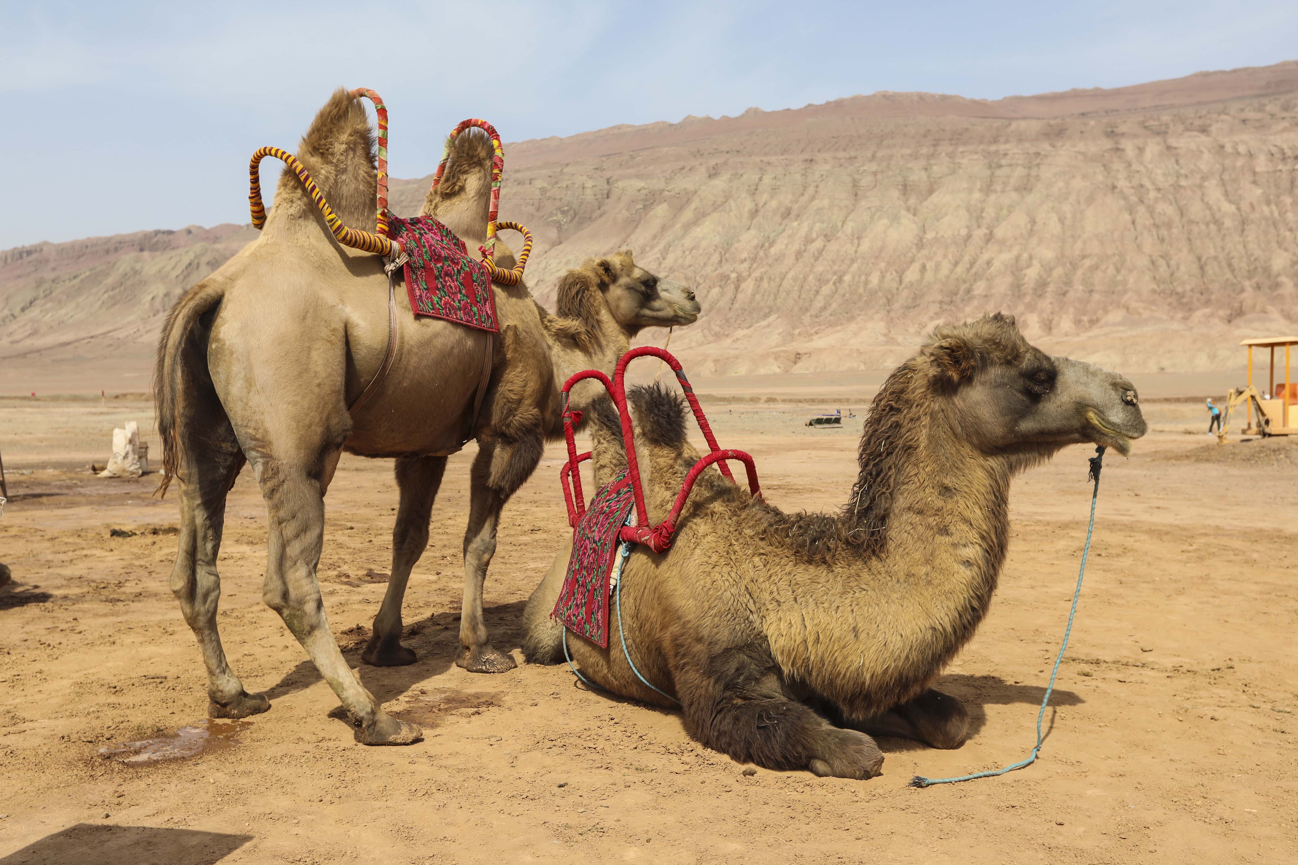 新疆维吾尔自治区的火焰山,新疆新火焰山景区