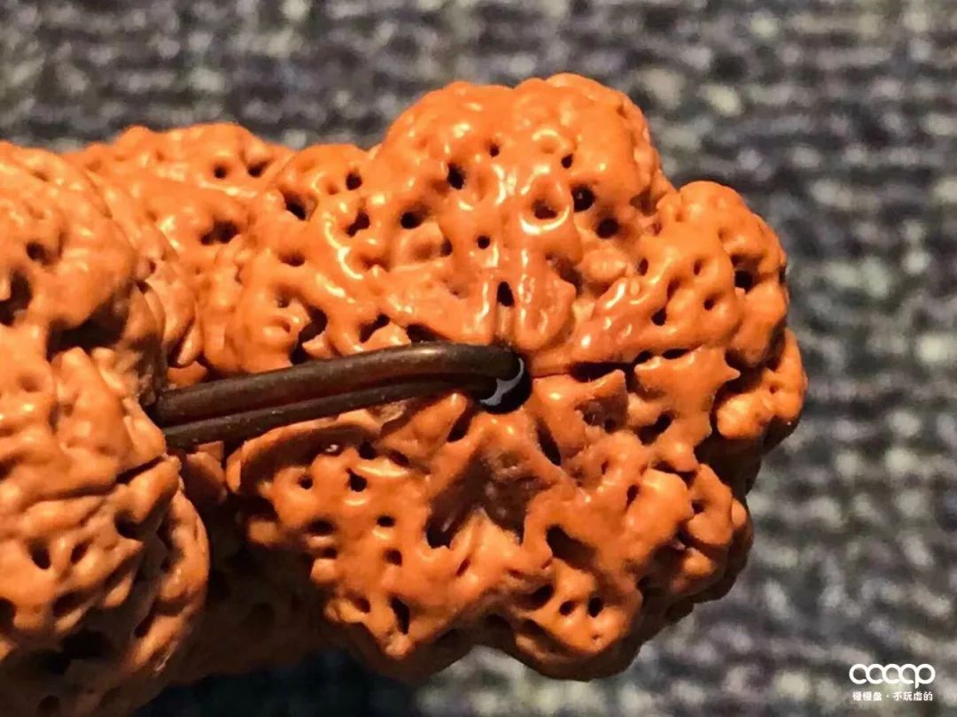 小金刚价格为什么差这么多,小金刚被骗200万