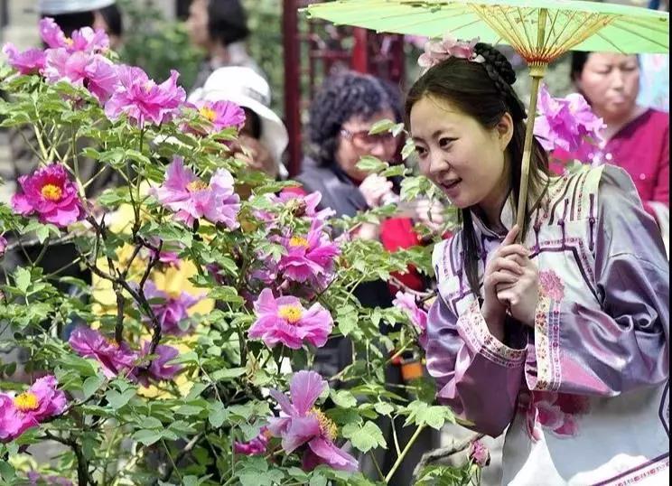 在大连去旅顺华酝牡丹园坐什么车,大连旅顺华酝牡丹园几月份适合去