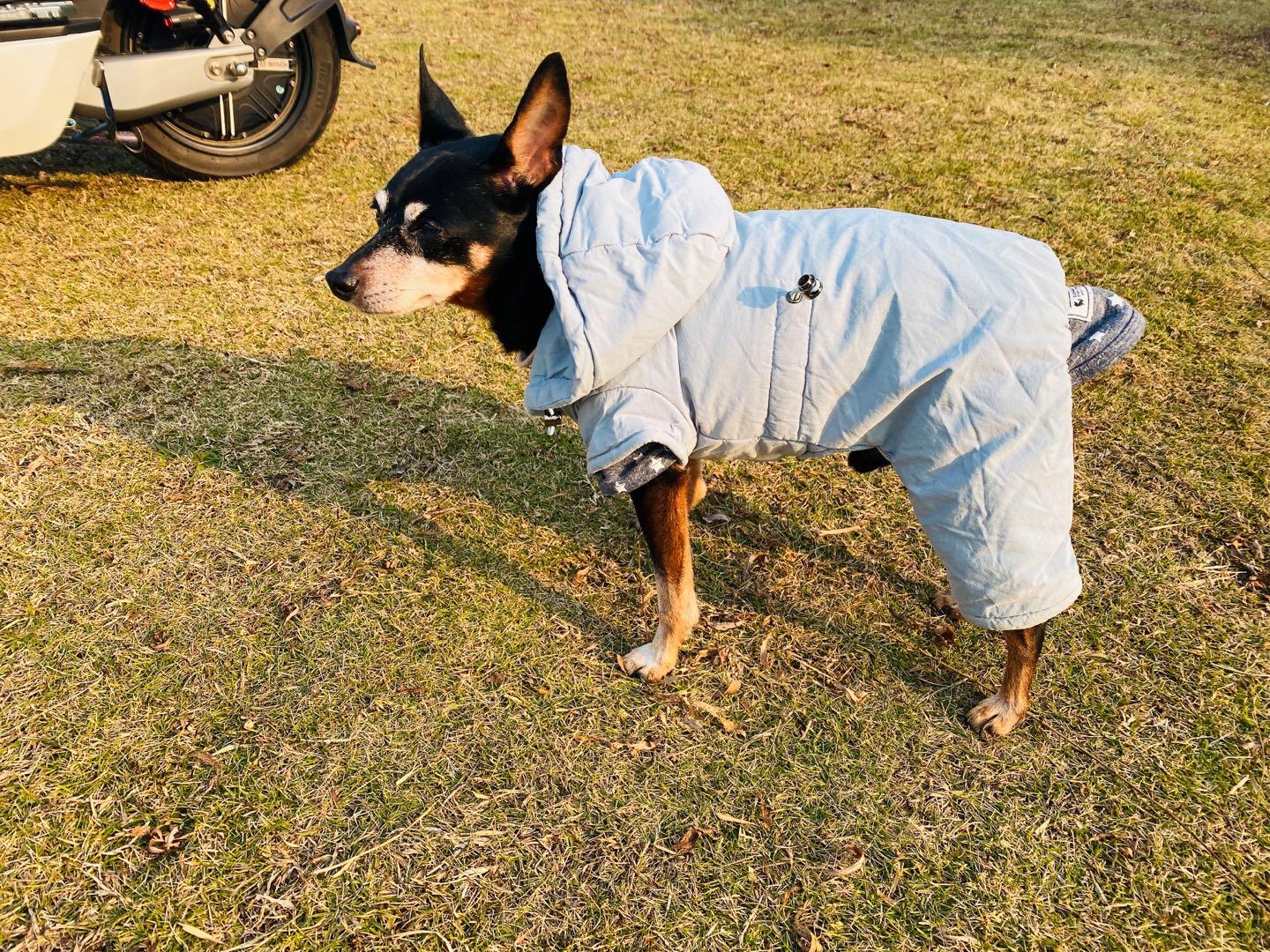 南京可以露营的公园,打卡南京旅游的景点