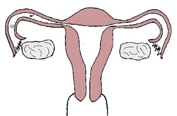 促排卵药物都是激素药吗,促排卵药能随便吃吗