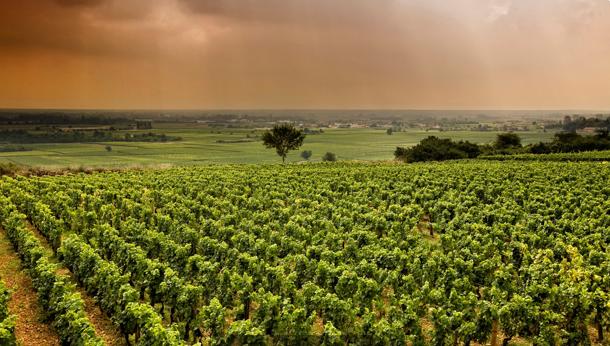法国勃艮第美食美酒大盘点—你也会选，你也会做！