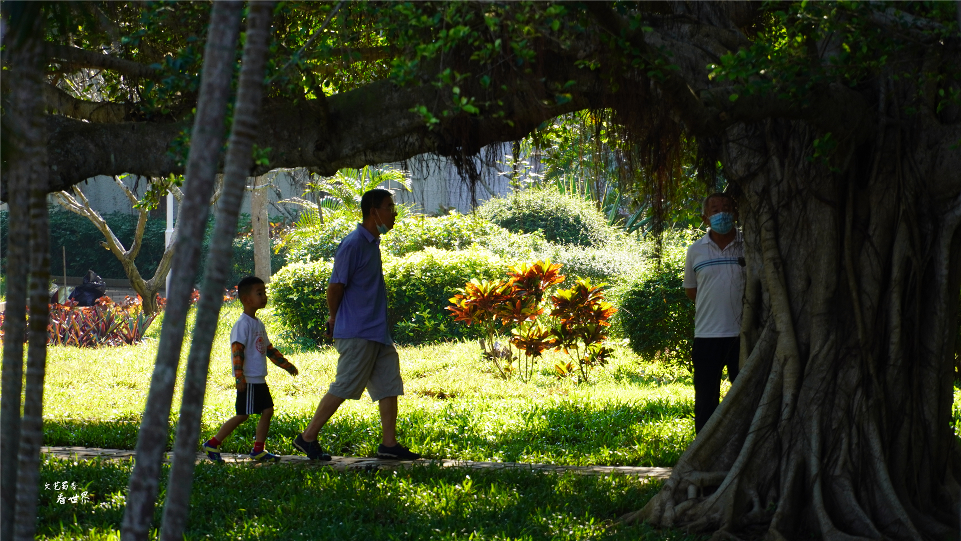 海口被东北人严重低估了,冬天也就冷一个月,跟三亚比差啥呀?