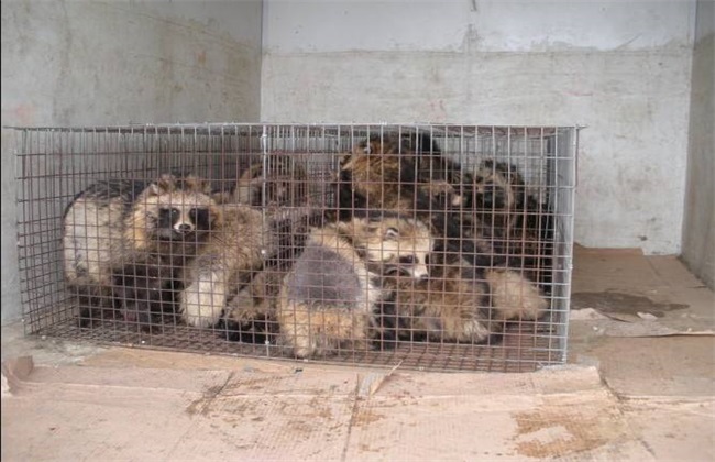 璨夊瓙鍏绘畺楠楀眬,璨夊瓙鍏绘畺