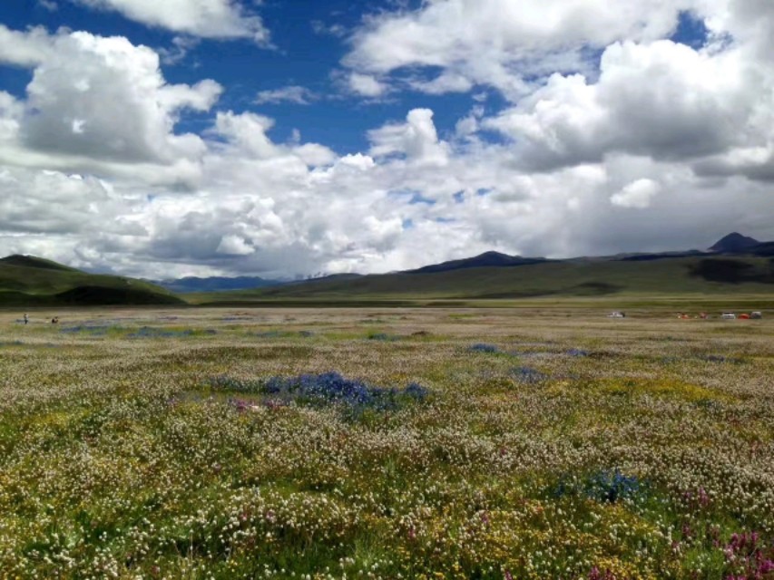 成都到林芝沿途山峰,从成都到林芝走318线路况如何