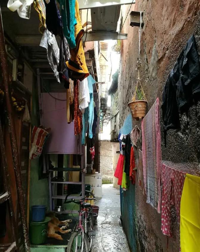 这个国家感染人数可能会破5亿！上千万人或丧命！疫情真正的黑洞