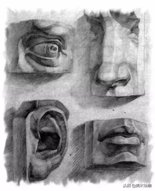 有了画画本和彩色笔还要用什么,有了这些临摹资料你还需要买书吗