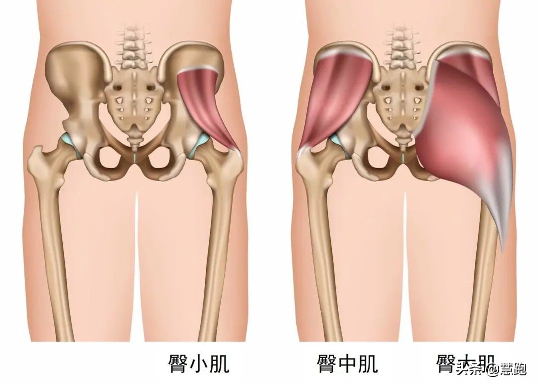跑步跑前力量训练,跑者必练核心动作