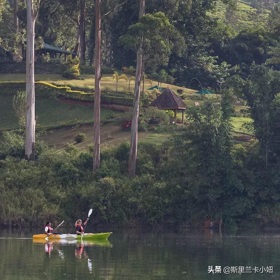 鏂噷鍏板崱缃楄幈澶忔湹,缃楄幈澶忔湹闇嶉】鑻卞紡鑼跺洯